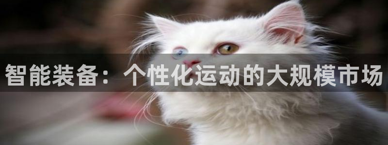 意昂5(KGAME)集团logo:智能装备:个性化运动的大规