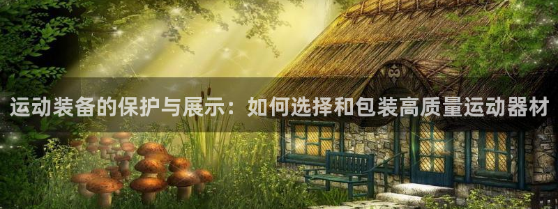 意昂5(KGAME)娱乐:运动装备的保护与展示:如何选择和包